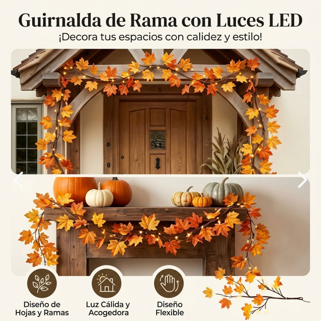 Guirnalda Led Decorativa